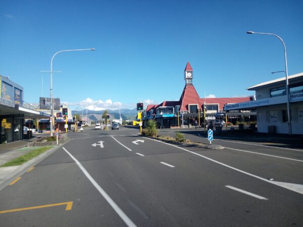 Privattransfer: Flughafen Wellington – Levin