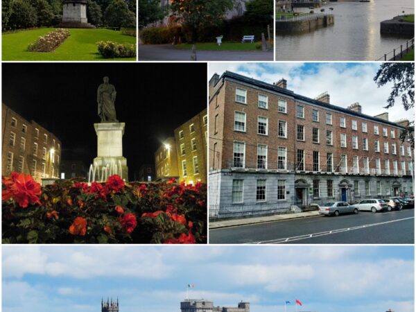 Traslado privado: origen Aeropuerto de Shannon, destino Limerick
