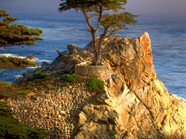 Private Transfer: San Francisco International Airport to Pebble Beach Ca