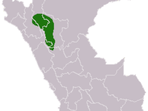 Private Transfer: Cajamarca to Chachapoyas