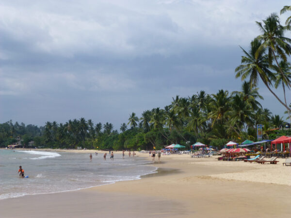 Transfert privé : Negombo → Mirissa