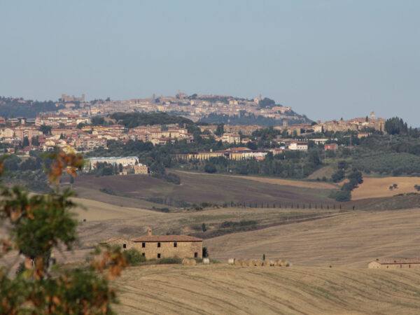 Private Transfer: Florence to Montalcino