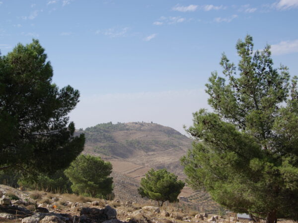 Privattransfer: Amman – Berg Nebo