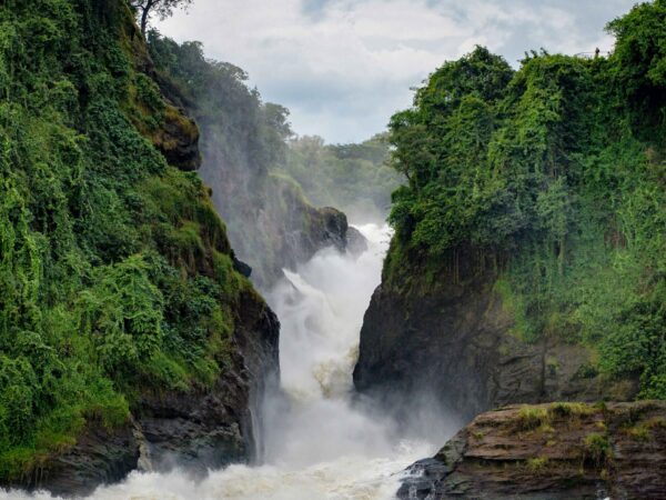 Traslado privado: origen Entebbe, destino Cataratas Murchison