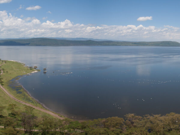 Transfert privé : Nairobi → Naivasha