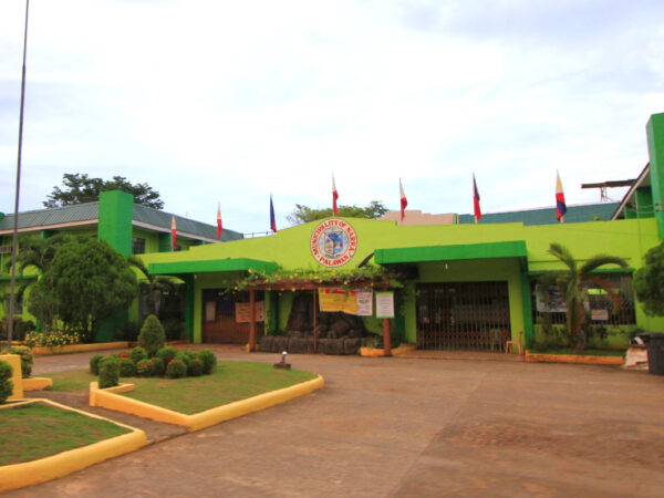 Private Transfer: Puerto Princesa to Narra