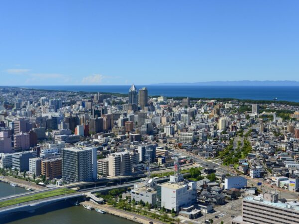 Traslado privado: origen Aeropuerto Internacional de Narita, Japón, destino Niigata