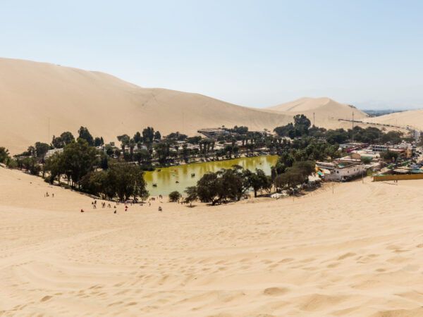 Transfert privé : Paracas → Huacachina