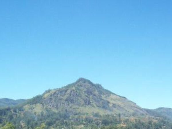 Transfert privé : Aéroport international Bandaranaike → Ohiya