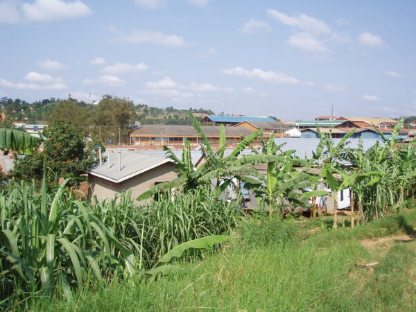 Transfer privado entre Kampala e Lugazi