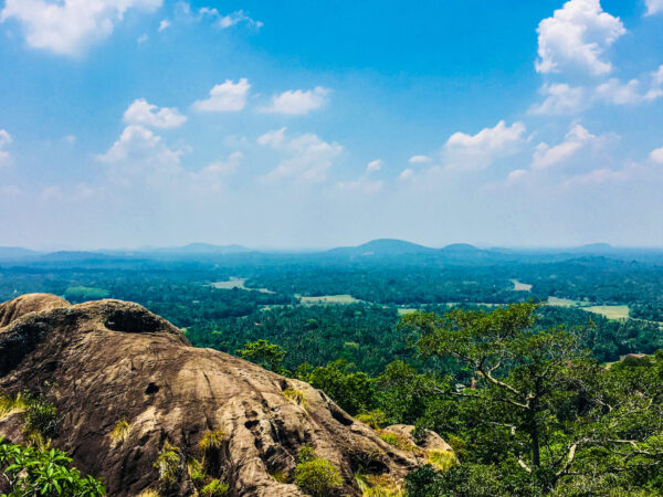 Transfert privé : Kandy → Gampaha