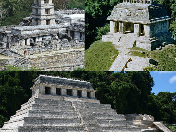 Private Transfer: Palenque to Xpujil