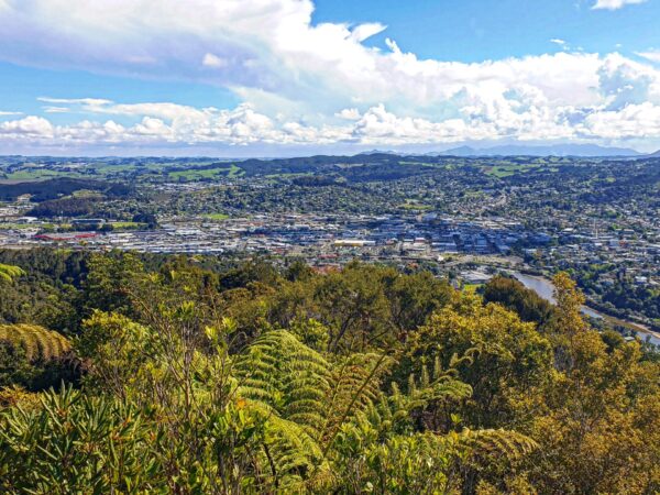Transfer privado entre Whangarei e Aeroporto de Wellington