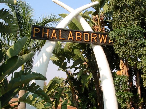 Transfer privado entre Aeroporto de Joanesburgo e Phalaborwa