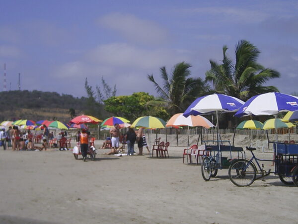 Transfert privé : Guayaquil → Montanita