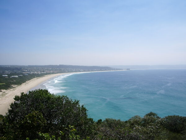 Transfert privé : Le Cap → Plettenberg Bay