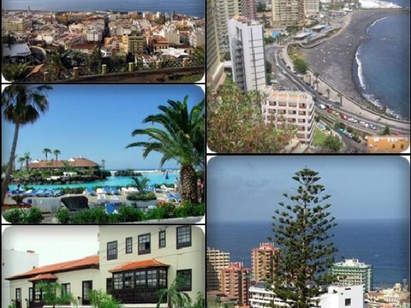 Private Transfer: Puerto De La Cruz to Tenerife Norte Airport