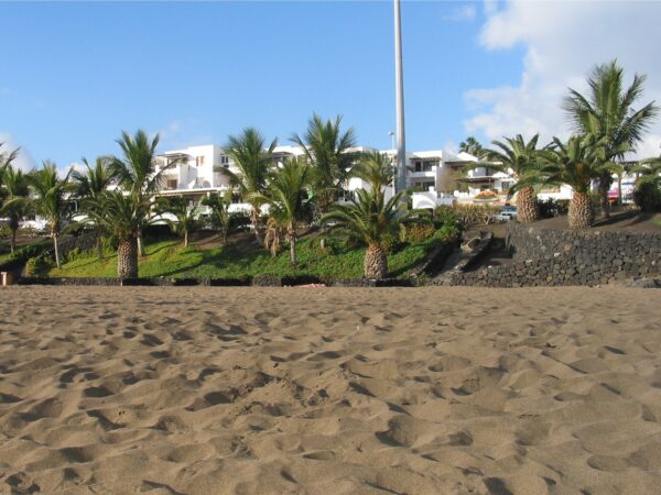 Private Transfer: Arrecife to Puerto Del Carmen
