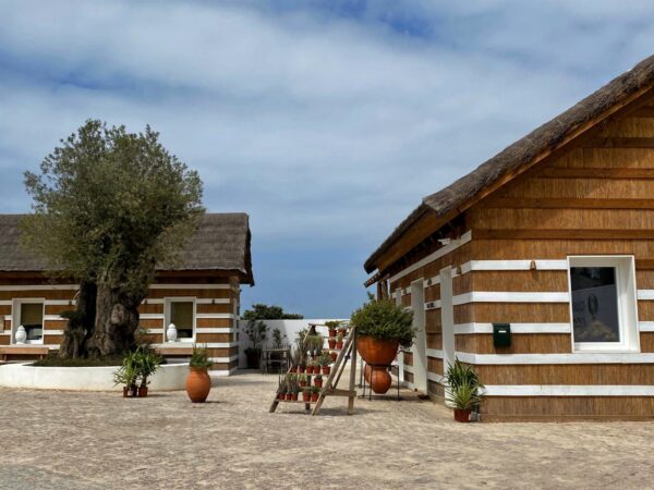Private Transfer: Lisbon to Comporta