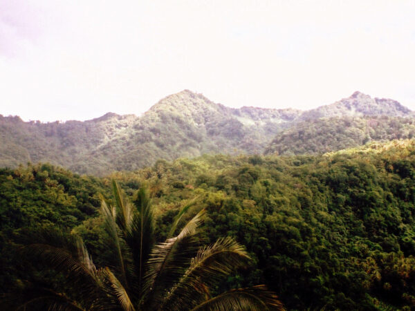 Traslado privado: origen Eau Piquant, destino Theodorine St Lucia