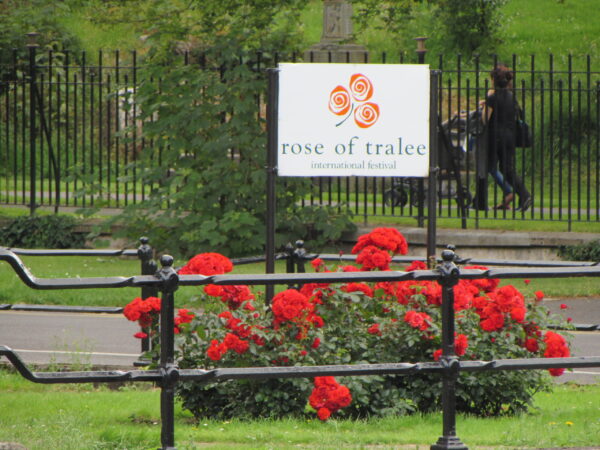 Traslado privado: origen Tralee, destino Aeropuerto de Shannon