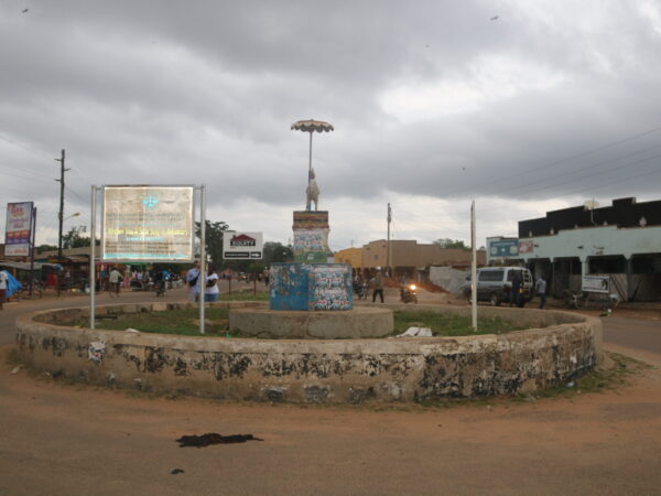 Private Transfer: Entebbe to Adjumani