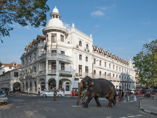 Transfer privado entre Haputale e Kandy