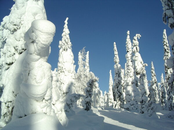 Traslado privado: origen Helsinki, destino Kuusamo
