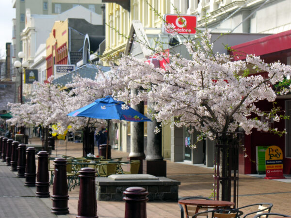 Traslado privado: origen Christchurch, destino Invercargill