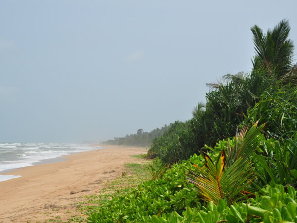 Transfer privado entre Ratmalana e Bentota