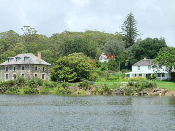 Private Transfer: Auckland Airport to Kerikeri