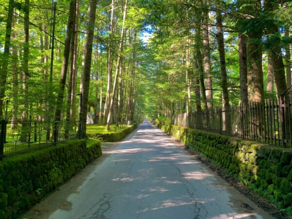 Transfert privé : Karuizawa → Aéroport de Haneda
