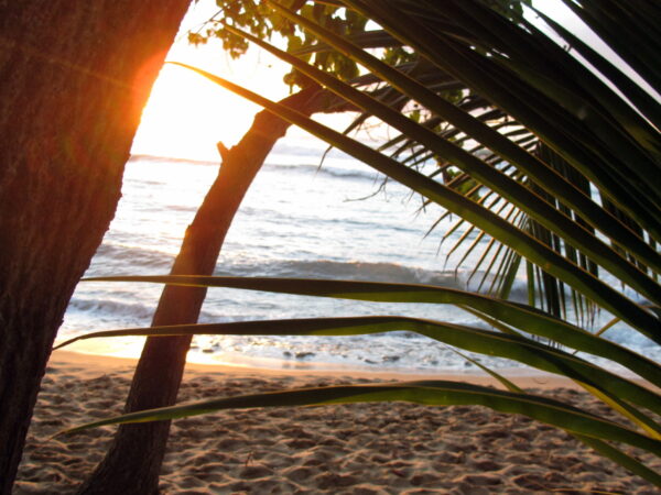 Transfert privé : San Juan, Porto Rico → Rincon