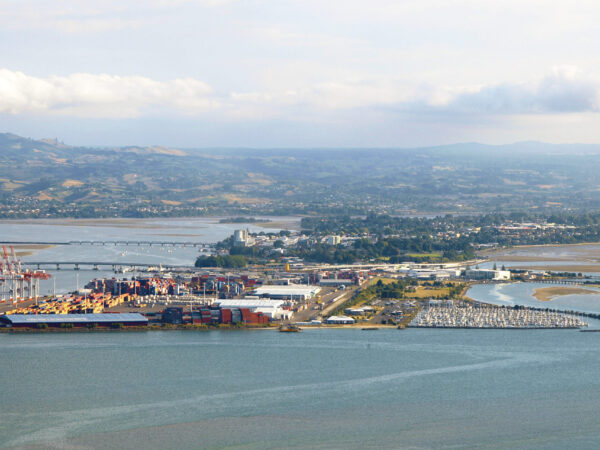 Transfer privado entre Tauranga e Aeroporto de Wellington