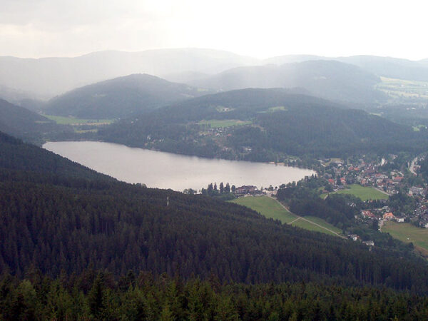 Private Transfer: Titisee to Munich Airport
