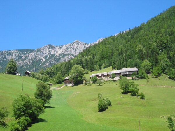 Transfert privé : Aéroport de Ljubljana → Slovenian Jezersko