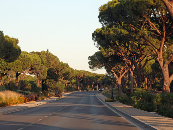 Private Transfer: Almancil to Estepona Es