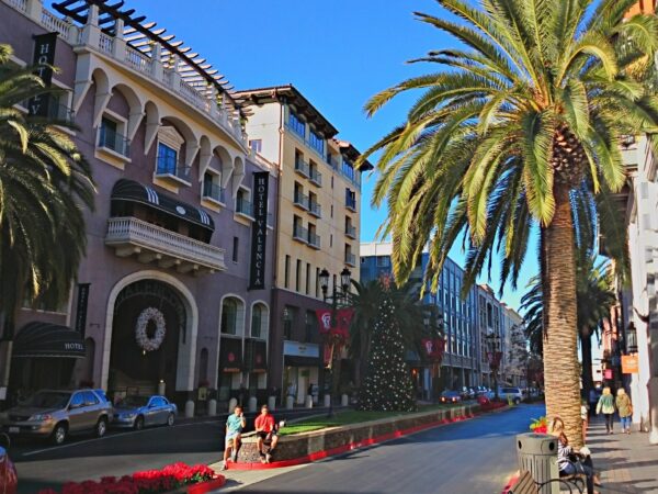 Private Transfer: Davis Ca to San Jose Ca