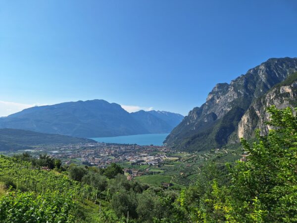 Private Transfer: Malpensa Airport to Riva Del Garda