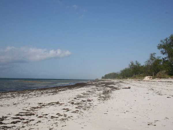 Traslado privado: origen Mombasa, destino Watamu