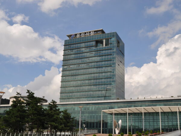 Transfert privé : Aéroport international d'Incheon → Yongin
