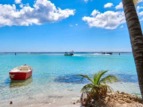 Transfert privé : Santo Domingo, République dominicaine → Aéroport de Punta Cana