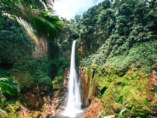 Transfert privé : Aéroport de Liberia → La Fortuna