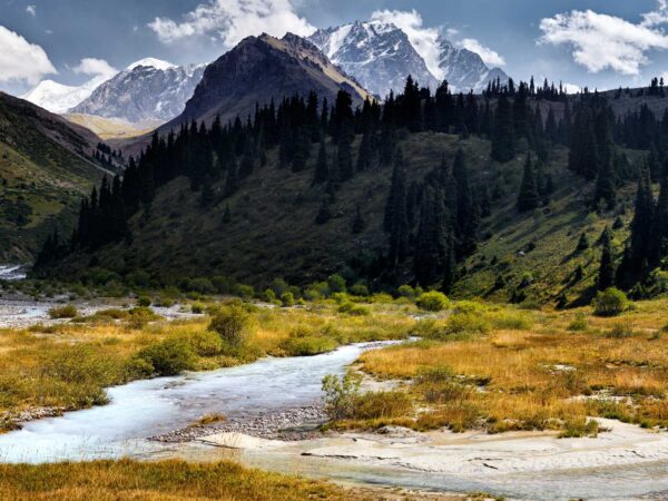 Private Transfer: Shelek to Almaty International Airport