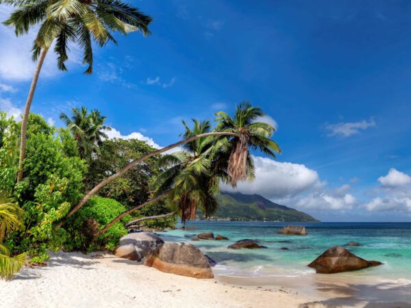 Transfert privé : Vista Do Mar Seychelles → Aéroport des Seychelles