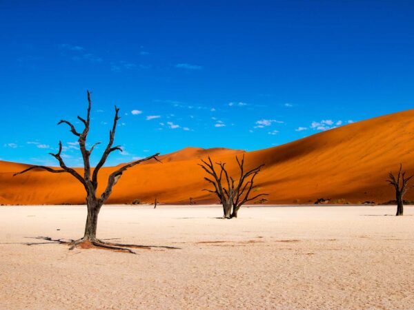 Transfert privé : Walvis Bay → Gogabis