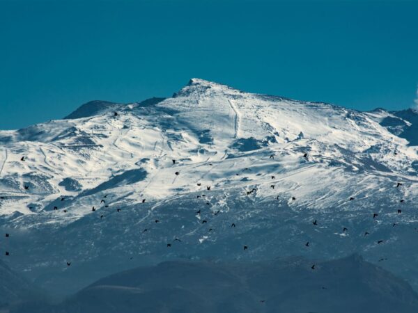 Traslado privado: origen Valle Nevado, destino Santiago de Chile