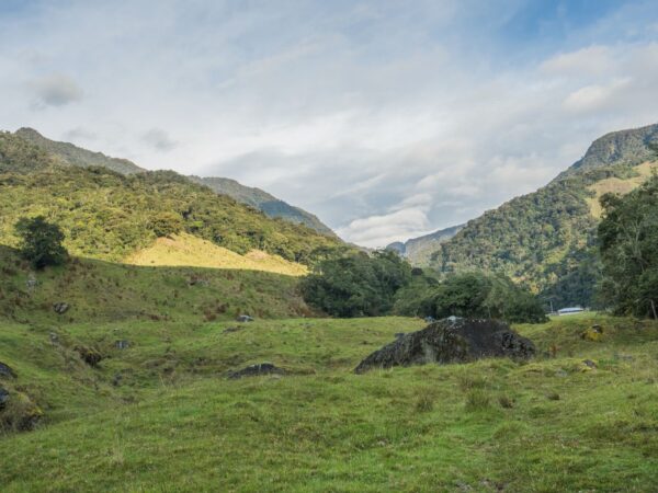 Traslado privado: origen Aeropuerto de Medellín, destino Valle del Río Claro