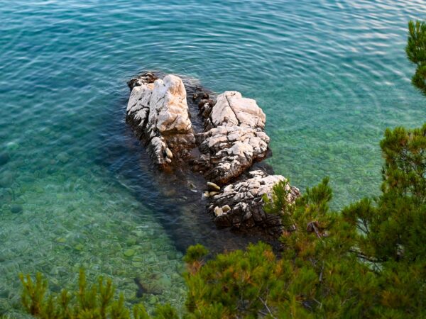 Transfert privé : Rabac → Aéroport de Venise-Marco-Polo It