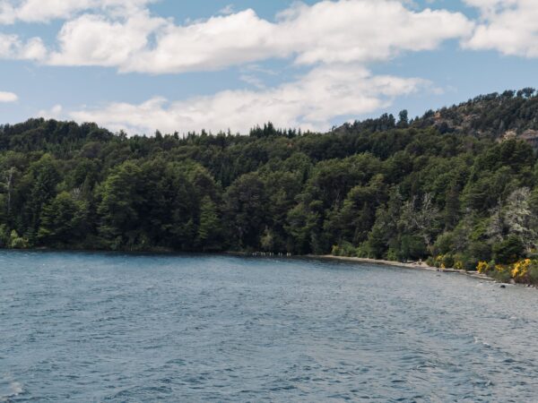 Traslado privado: origen Ushuaia, destino Río Gallegos
